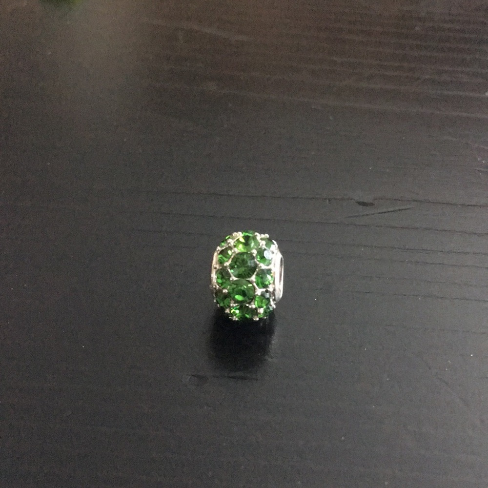 Chamilia Bead